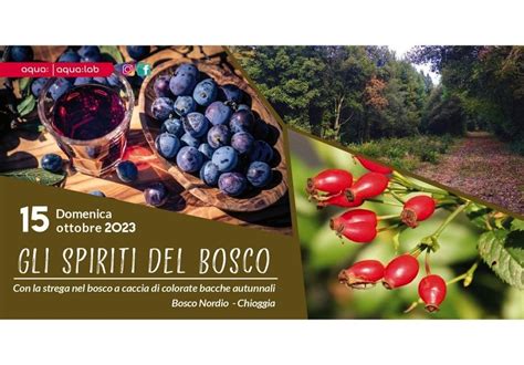  Maria Morevna: La Guerriera che Sfida gli Spiriti del Bosco!