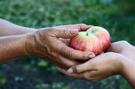  The Enchanted Barrel Reveals the Power of Generosity and Resourcefulness!