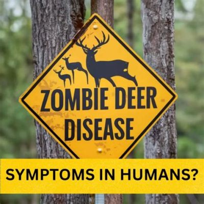 The Zombie Deer Reveals Ancient Japanese Beliefs about Nature and the Afterlife!